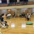 DSC_1233_8449_960_640