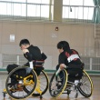 DSC_1662_960_640