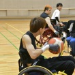 DSC_1744_960_640