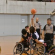 DSC_2767_960_640