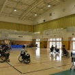 DSC_3100_960_640