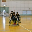 DSC_3206_960_640