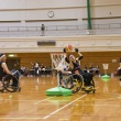 DSC_3673_960_640